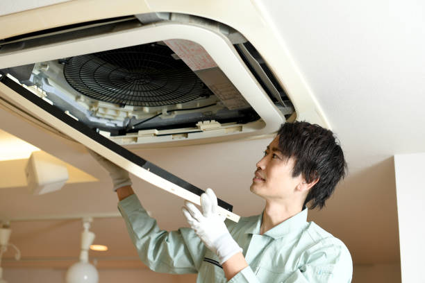 Best Ductwork Cleaning Services  in Winfield, MO